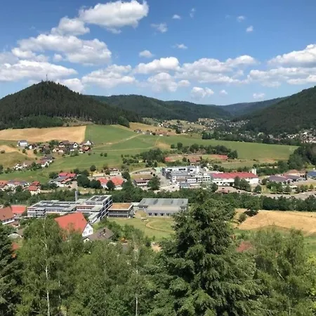 Apartment Traumblick Mit Pool Baiersbronn
