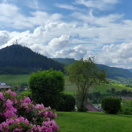 Traumblick Mit Pool *