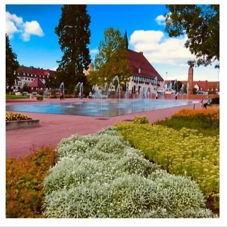 Traumblick Mit Pool Baiersbronn