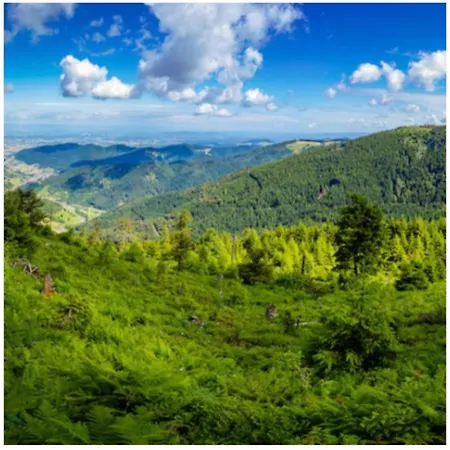 Traumblick Mit Pool Apartamento