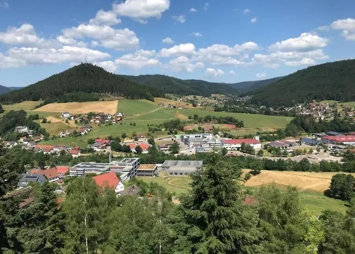 Apartamento Traumblick Mit Pool Baiersbronn