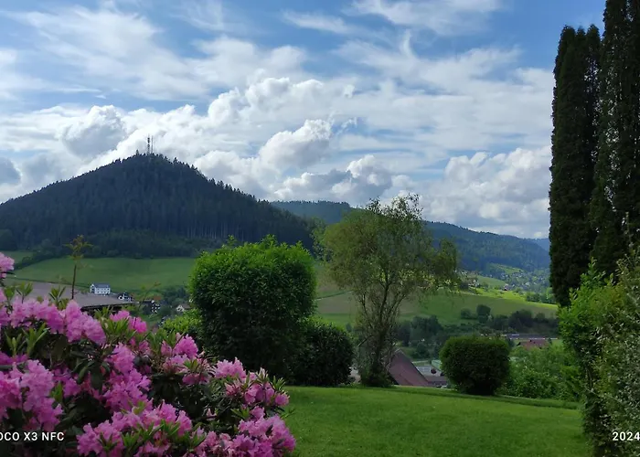 Traumblick Mit Pool *