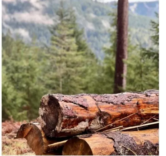 Διαμέρισμα Traumblick Mit Pool *