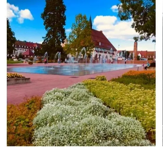 Traumblick Mit Pool Baiersbronn