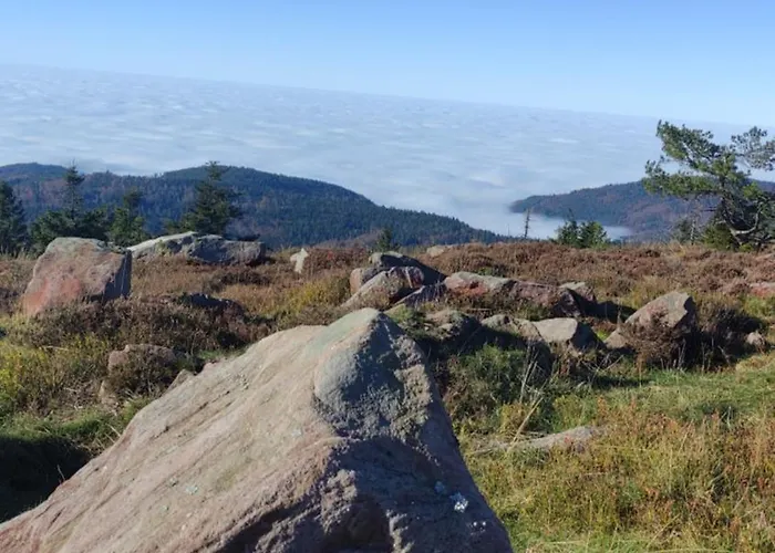 Traumblick Mit Pool Apartamento *